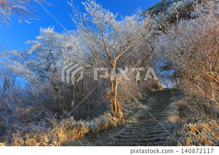 Hoarfrost on the highest peak of Mount Rokko Hoarfrost on the highest peak of Mount Rokko 140872117