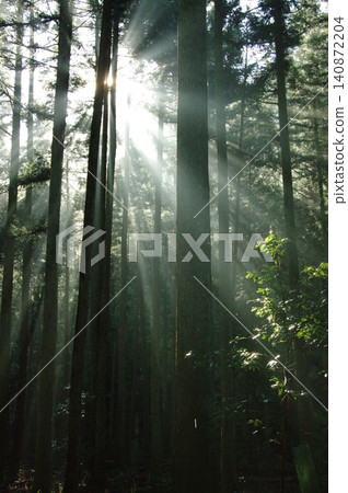 In the summer, rays of light appear in the mountain valleys of the Karumi district in Motosu City, Gifu Prefecture, creating a fantastical scene. In the summer, rays of light appear in the mountain valleys of the Karumi district in Motosu City, Gifu Prefecture, creating a fantastical scene. 140872204