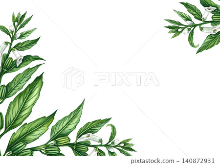 Frame with sesame plant with flowers, leaves, and pods. Hand-drawn watercolor illustration. Perfect for creating product labels, posters and banners, menus, postcards, and more. Frame with sesame plant with flowers, leaves, and pods. Hand-drawn watercolor illustration. Perfect for creating product labels, posters and banners, menus, postcards, and more. 140872931