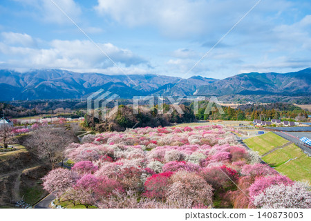 稻部市梅花公園「梅花節」（三重縣稻部市，稻部市農業公園） 140873003