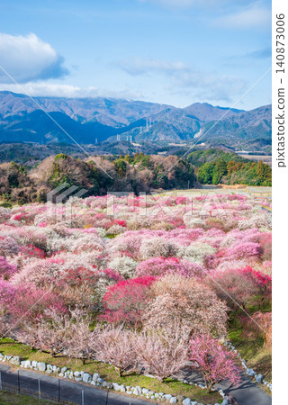 稻部市梅花公園「梅花節」(三重縣稻部市,稻部市農業公園) 稻部市梅花公園「梅花節」(三重縣稻部市,稻部市農業公園) 140873006