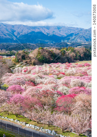稻部市梅花公園「梅花節」(三重縣稻部市,稻部市農業公園) 稻部市梅花公園「梅花節」(三重縣稻部市,稻部市農業公園) 140873008