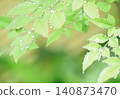 雨後的花園樹木 140873470