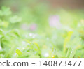 雨後的花園樹木 140873477