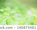 雨後的花園樹木 140873481