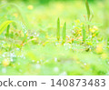 雨後的花園樹木 140873483