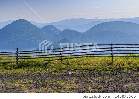 A wild rabbit appeared near a pastoral wooden fence on the shores of Lake Toya, bathed in the refreshing summer sunlight. A wild rabbit appeared near a pastoral wooden fence on the shores of Lake Toya, bathed in the refreshing summer sunlight. 140873509