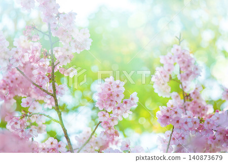Spring-colored background Spring-colored background 140873679