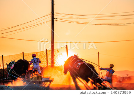 The dynamic uphill climbs of Ban'ei horse racing, a traditional sport in Hokkaido, and the scene of the sunset painting the landscape red. The dynamic uphill climbs of Ban'ei horse racing, a traditional sport in Hokkaido, and the scene of the sunset painting the landscape red. 140873999