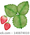 水彩畫草莓的插圖 140874010
