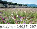 A field of cosmos flowers spreads out against the backdrop of mountain ranges. 140874297