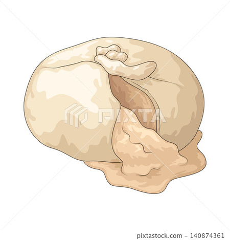 Illustration of Burrata Illustration of Burrata 140874361