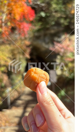 秋日賞葉遠足時，一手拿著醃梅子：圖片說明補充鹽分和預防中暑。 140874729
