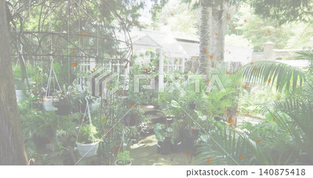 Showing clustered potted plants growing in backyard, with metal arch, white pots and greenhouse Showing clustered potted plants growing in backyard, with metal arch, white pots and greenhouse 140875418