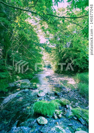 Okutama, Hinohara Village: Kita-Akigawa surrounded by lush green trees (vertical orientation) Okutama, Hinohara Village: Kita-Akigawa surrounded by lush green trees (vertical orientation) 140877048