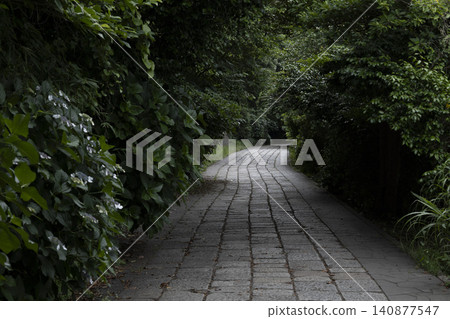 The road leading to Kannonzaki Lighthouse in summer, Yokosuka City, Kanagawa Prefecture The road leading to Kannonzaki Lighthouse in summer, Yokosuka City, Kanagawa Prefecture 140877547
