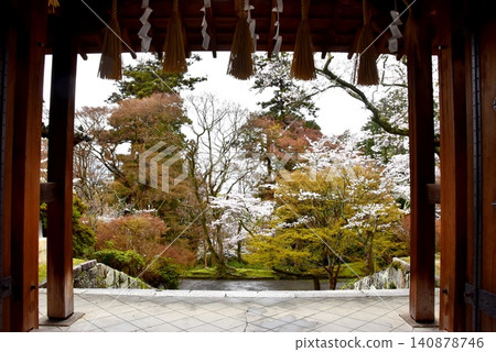 京都市山科區的毗沙門堂藥井門、鬱鬱蔥蔥的綠植和櫻花。 京都市山科區的毗沙門堂藥井門、鬱鬱蔥蔥的綠植和櫻花。 140878746