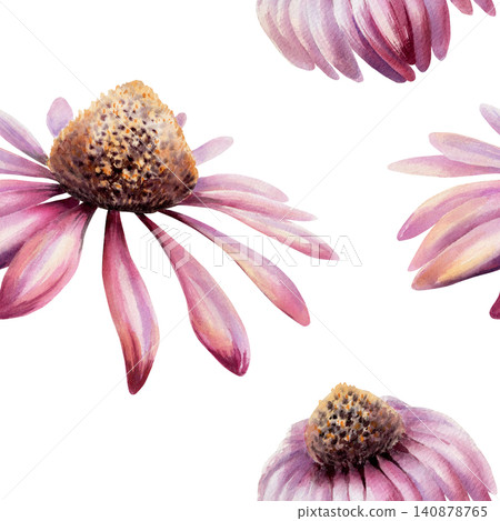 Echinacea seamless pattern watercolor illustration. Purple coneflower blossom for health immunity pharmacy branding, cold remedy packaging, medical tea design, organic herbal wellness wallpaper Echinacea seamless pattern watercolor illustration. Purple coneflower blossom for health immunity pharmacy branding, cold remedy packaging, medical tea design, organic herbal wellness wallpaper 140878765