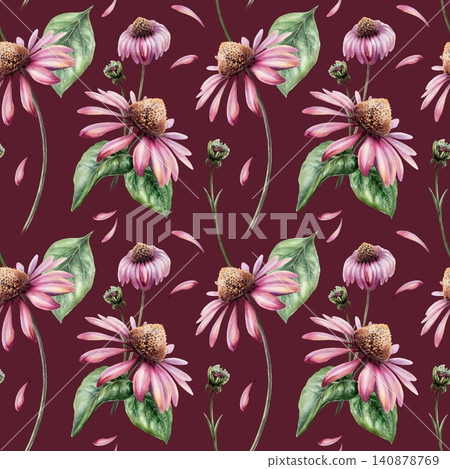 Echinacea seamless pattern watercolor illustration. Purple coneflower blossom for organic skin care cosmetics packaging, natural beauty branding, floral body lotion print, wellness backdrop Echinacea seamless pattern watercolor illustration. Purple coneflower blossom for organic skin care cosmetics packaging, natural beauty branding, floral body lotion print, wellness backdrop 140878769