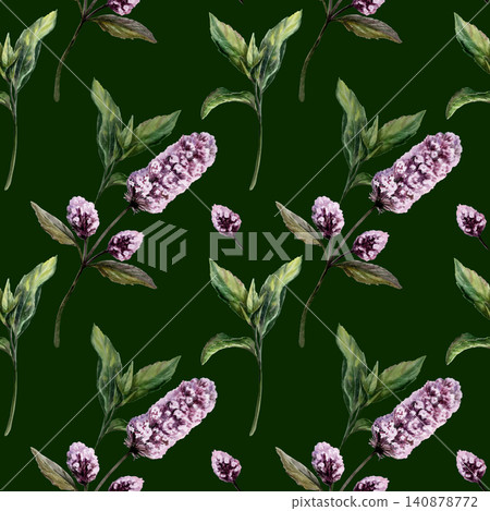 Mint seamless pattern watercolor illustration on dark background. Mentha medicinal herb for premium calming spa branding, stress relief oil packaging, organic sleep aromatherapy wellness print Mint seamless pattern watercolor illustration on dark background. Mentha medicinal herb for premium calming spa branding, stress relief oil packaging, organic sleep aromatherapy wellness print 140878772