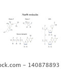 Structure of molecules sketch style vitamin c, vitamin d, atp, nad+ molecule 140878893