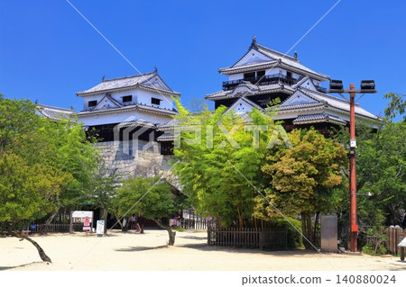 [Ehime Prefecture] Matsuyama Castle (12 existing castle towers) 140880024