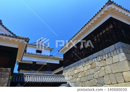 [Ehime Prefecture] Matsuyama Castle (12 existing castle towers) 140880030