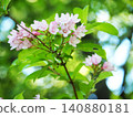 Taniugi的花 140880181