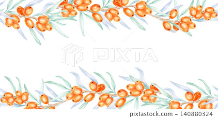 Orange sea buckthorn berries and narrow leaves creating upper and lower borders, watercolor clipart for certificates, product labels, menus, stationery layouts, and packaging applications Orange sea buckthorn berries and narrow leaves creating upper and lower borders, watercolor clipart for certificates, product labels, menus, stationery layouts, and packaging applications 140880324