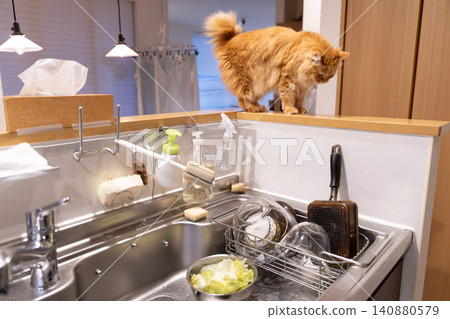 A tabby cat in the kitchen A tabby cat in the kitchen 140880579