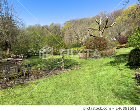 Enlgish green garden with multpiple type of trees and plants Enlgish green garden with multpiple type of trees and plants 140881691