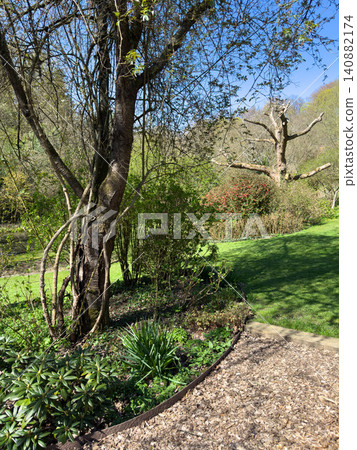 Enlgish green garden with multpiple type of trees and plants Enlgish green garden with multpiple type of trees and plants 140882174