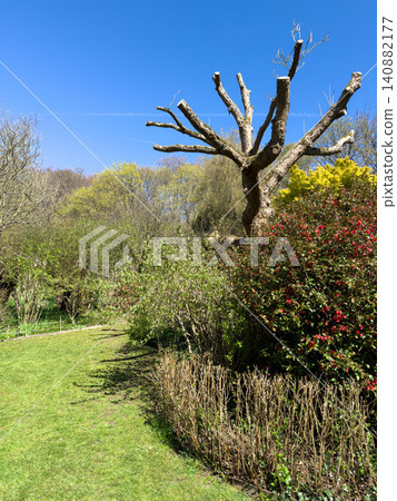 Enlgish green garden with multpiple type of trees and plants Enlgish green garden with multpiple type of trees and plants 140882177