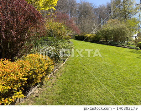 Enlgish green garden with multpiple type of trees and plants Enlgish green garden with multpiple type of trees and plants 140882179