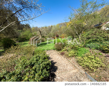 Enlgish green garden with multpiple type of trees and plants 140882185