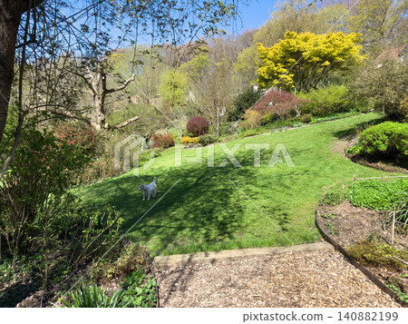Enlgish green garden with multpiple type of trees and plants Enlgish green garden with multpiple type of trees and plants 140882199