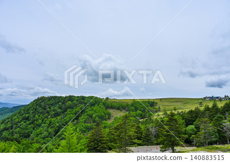 Scenery of the Utsukushigahara Plateau in Nagano Prefecture 140883515