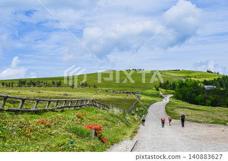 Landscape of Utsukushigahara, Nagano Prefecture Landscape of Utsukushigahara, Nagano Prefecture 140883627