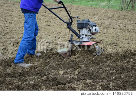 Planting potatoes under the walk-behind tractor Planting potatoes under the walk-behind tractor 140883791