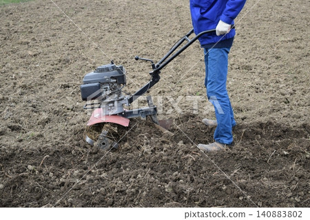 Planting potatoes under the walk-behind tractor 140883802