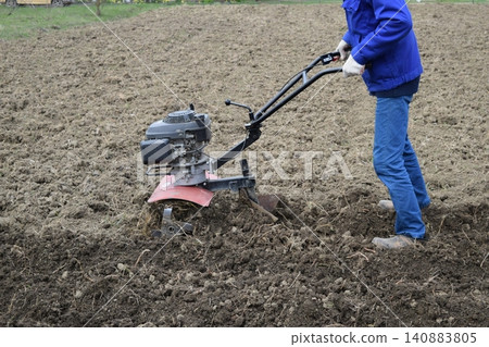 Planting potatoes under the walk-behind tractor Planting potatoes under the walk-behind tractor 140883805