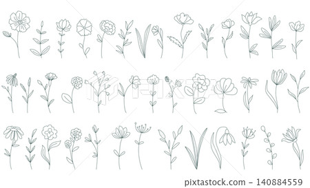 Outline illustrations of flowers and herbs collection Outline illustrations of flowers and herbs collection 140884559