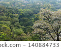 A landscape of mountain cherry blossoms in Aya Town, Miyazaki Prefecture 140884733