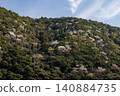 A landscape of mountain cherry blossoms in Aya Town, Miyazaki Prefecture 140884735