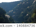 A landscape of mountain cherry blossoms in Aya Town, Miyazaki Prefecture 140884736