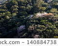 A landscape of mountain cherry blossoms in Aya Town, Miyazaki Prefecture 140884738