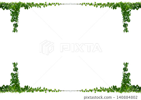 vine frame leaf vine circle Isolate on transparent background PNG file 140884802