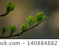 Fresh green landscape 140884882