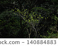 Fresh green landscape 140884883