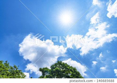 初夏的藍天、白雲和樹木 初夏的藍天、白雲和樹木 140885688